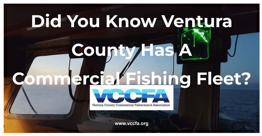 Screenshot 2026-03-22 7.19.24 PM